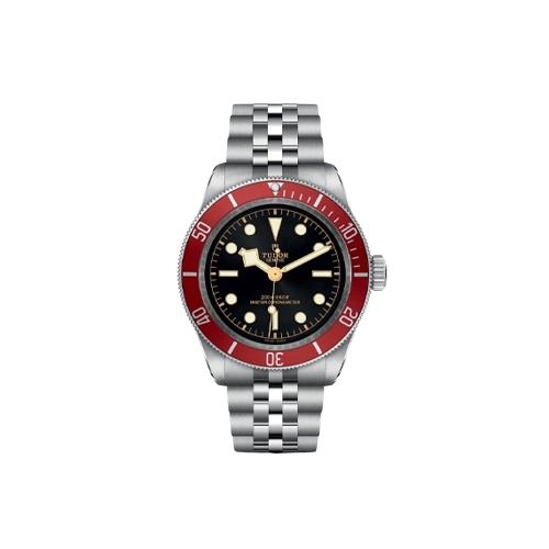 Tudor Black Bay